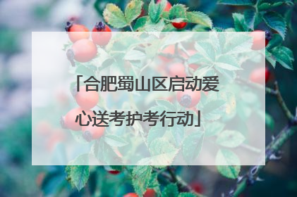 合肥蜀山区启动爱心送考护考行动